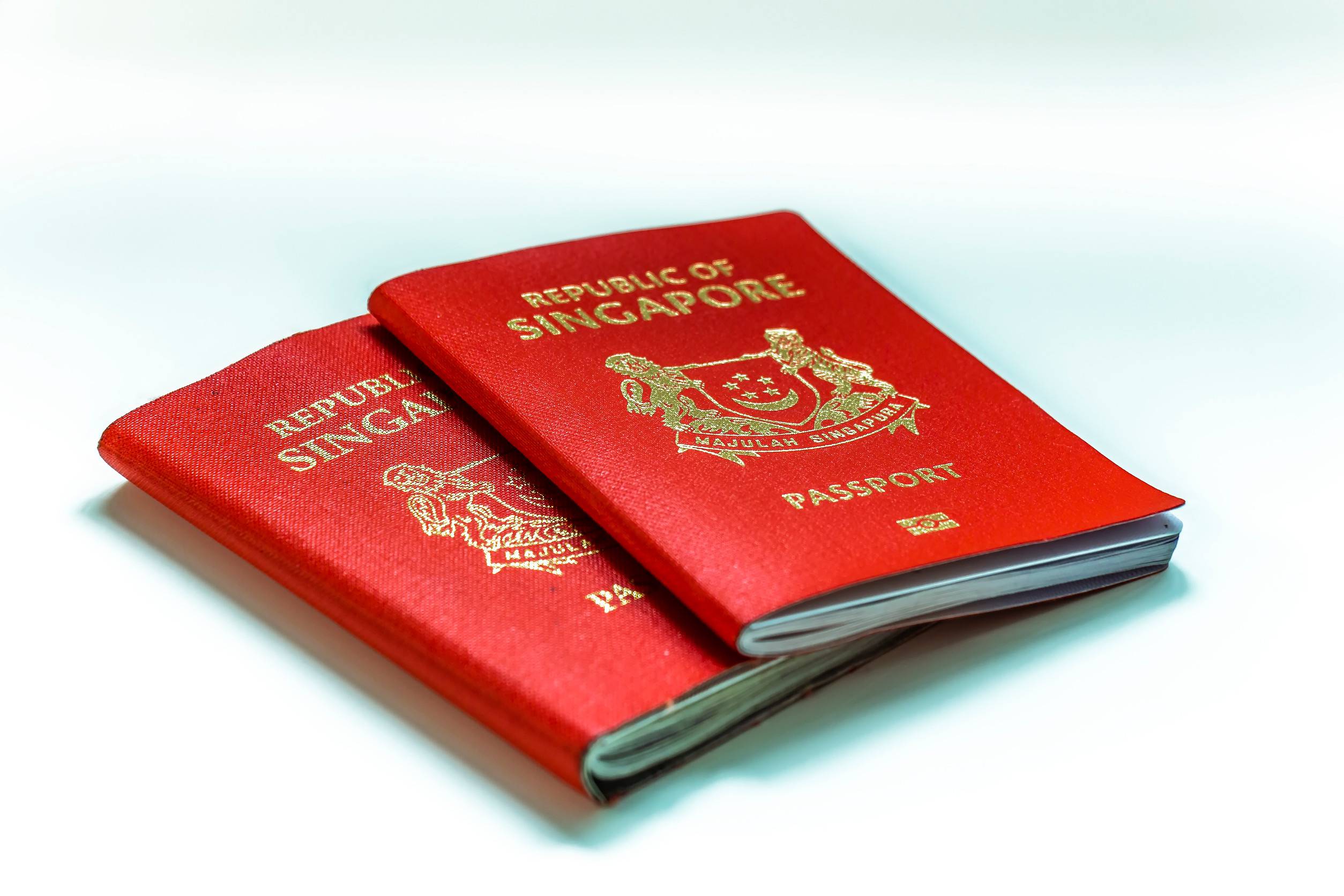 A Guide To The Cameroon E Visa For Citizens Of Singapore